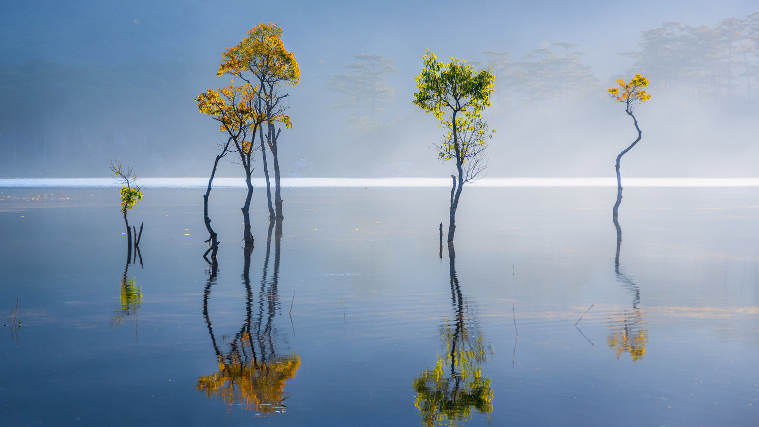 aboud